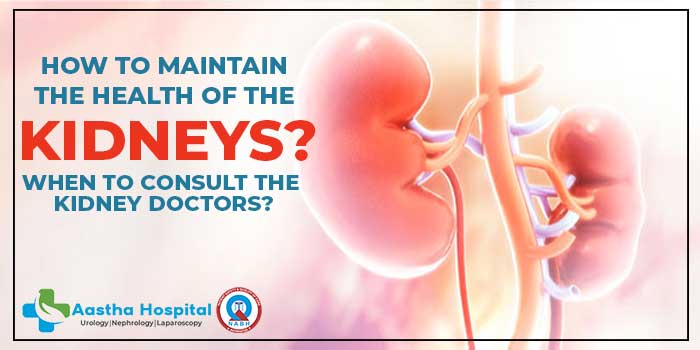 How-to-maintain-the-health-of-the-kidneys--When-to-consult-the-kidney-doctors