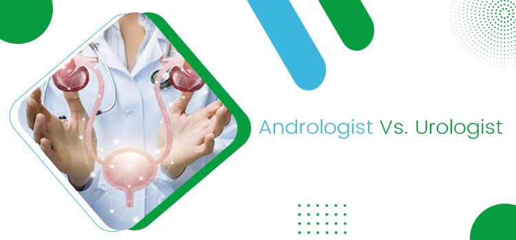 What are the possible differences between urologists and andrologists?