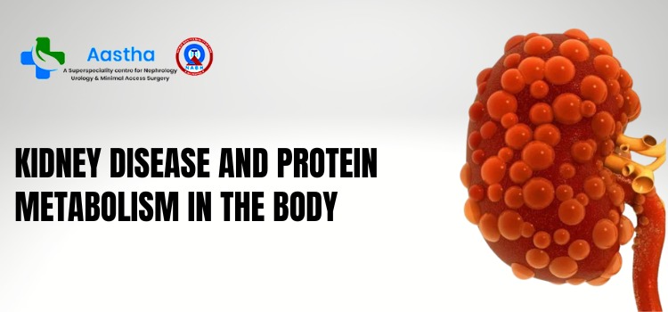 Kidney disease and Protein metabolism in the body